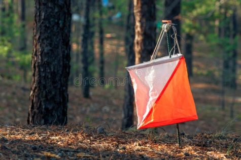 This is a photo of the point markers used in orienteering.