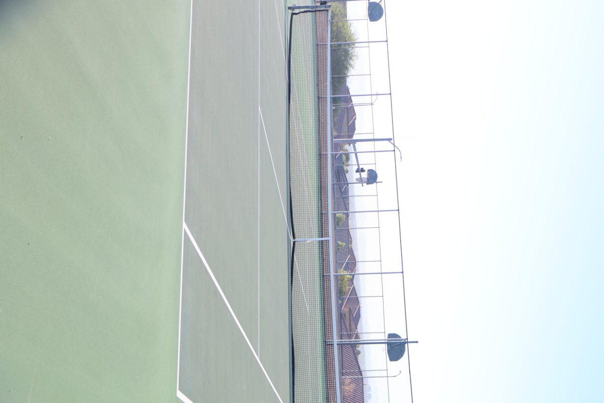 Tennis Vs. The Meadows