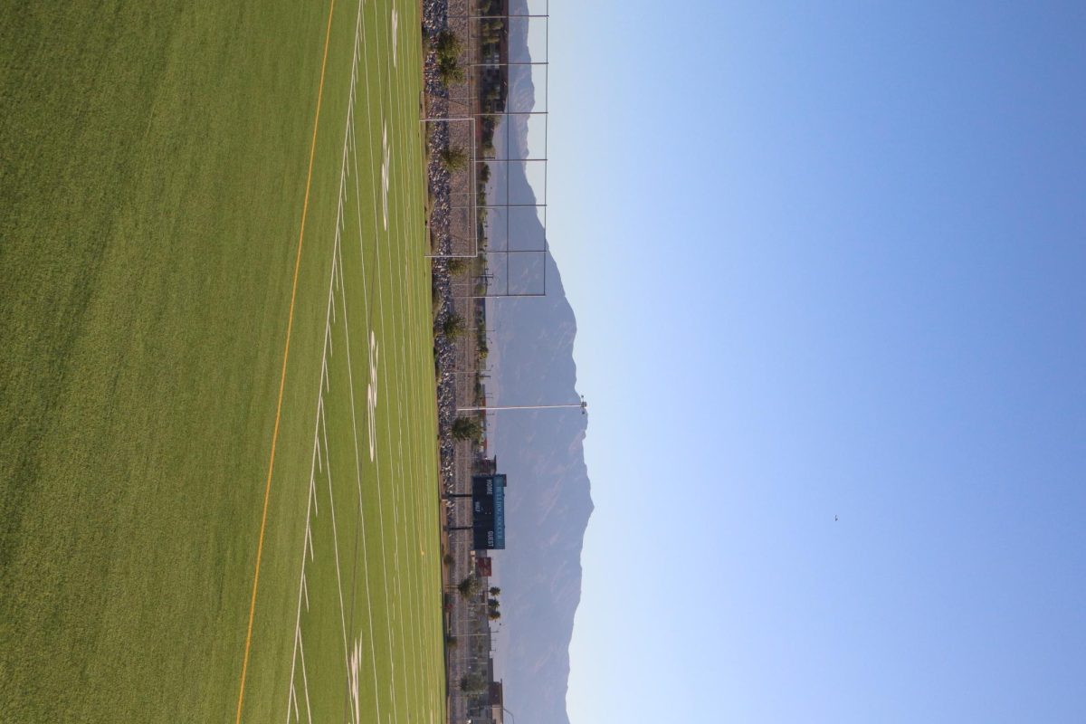 Soccer Field